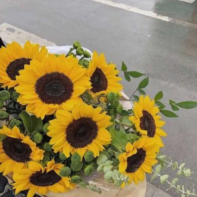 42982金牛网论坛下载手机版